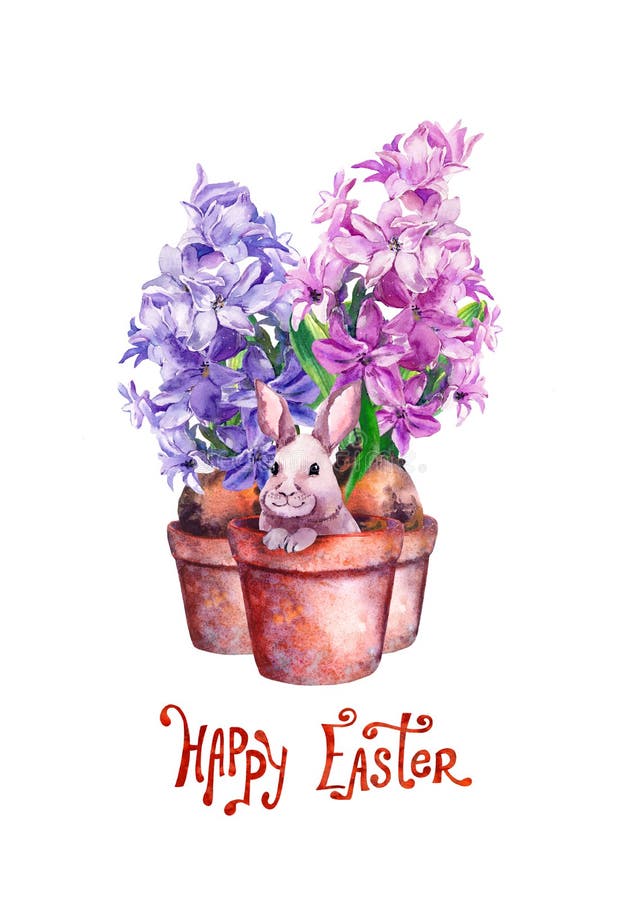 Easter bunny in a flower pot with spring hyacinth flowers. Lovely character rabbit, text Happy Easter. Watercolor vector illustration