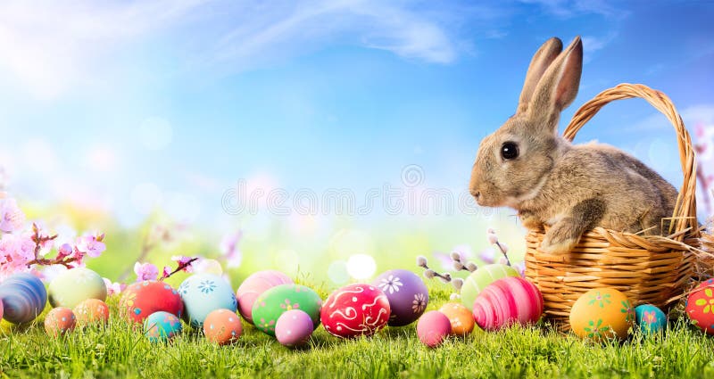 Iepuraș de Paști în coșul cu ouă decorate stock images