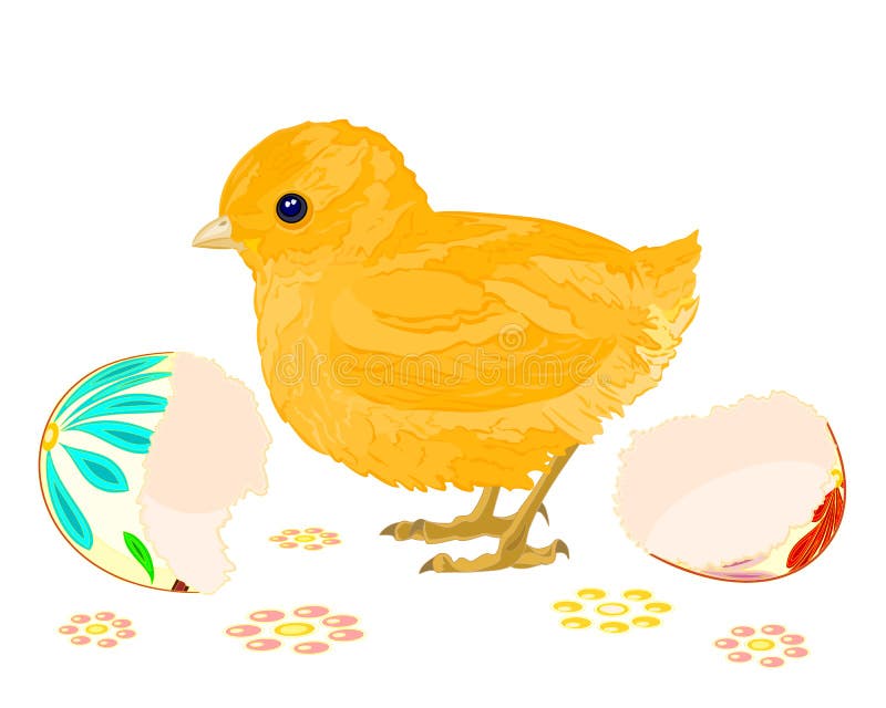 Easter chick