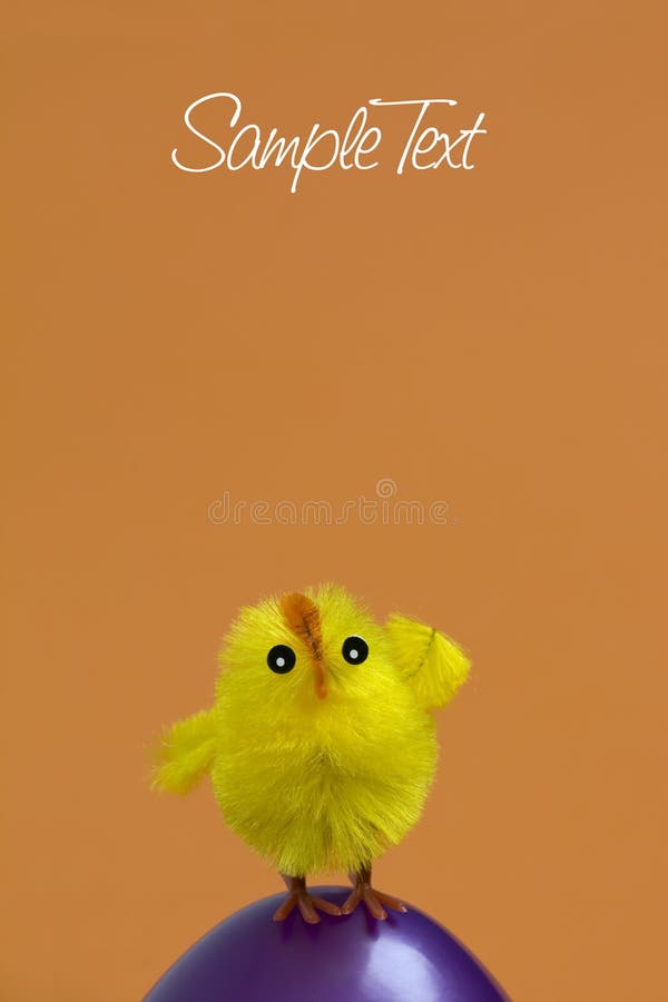 Easter Chicken royalty free stock photography Easter Chicken royalty free stock photography