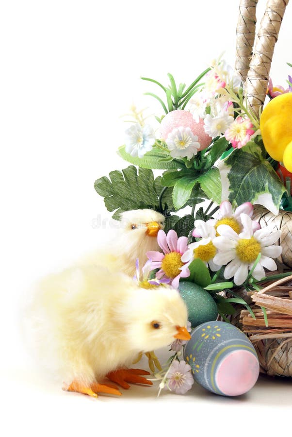 Easter Chicks