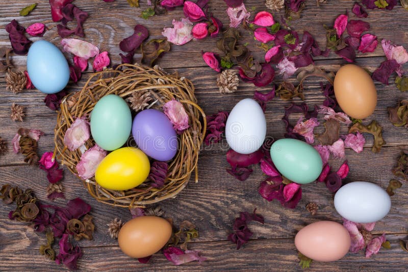 Easter Colorful Eggs In Bird Nest On Wooden Background Stock Image