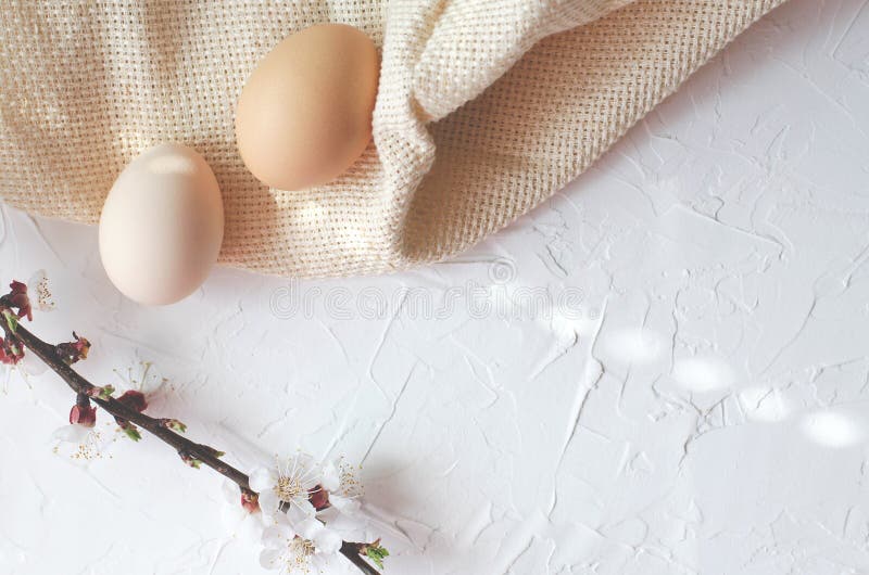 Easter composition of kurt eggs and tree twigs with flowering. royalty free stock photo Easter composition of kurt eggs and tree twigs with flowering. royalty free stock photo