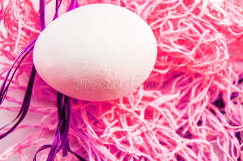 Easter concept, white egg on neon pink background, woven fabric nest, top view, copy space, modern design stock photography Easter concept, white egg on neon pink background, woven fabric nest, top view, copy space, modern design stock photography