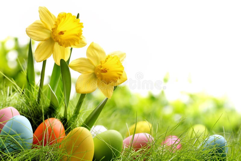 Easter day royalty free stock images Easter day royalty free stock images