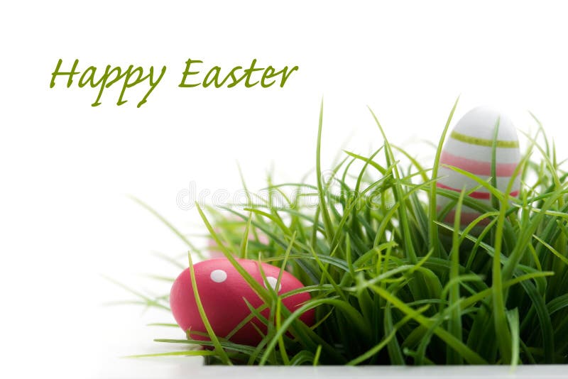 Spring Grass and Flowers Borders. Easter Decoration with Spring Grass