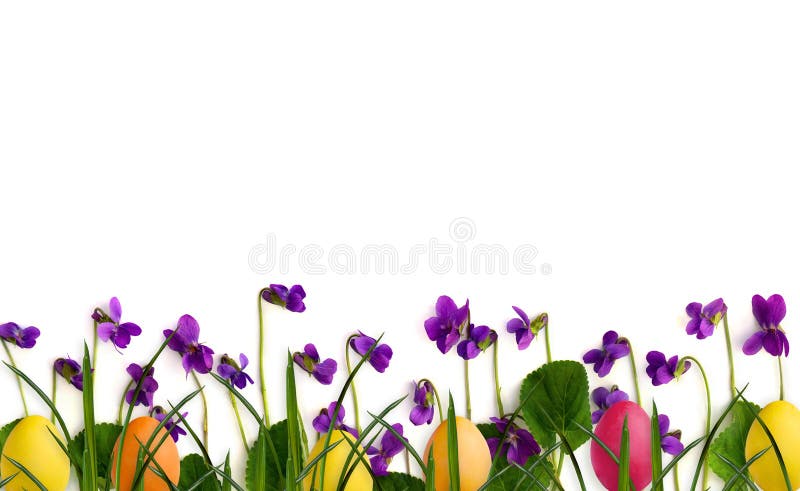 2 561 Small Wild Violet Flower Green Grass Background Photos Free Royalty Free Stock Photos From Dreamstime