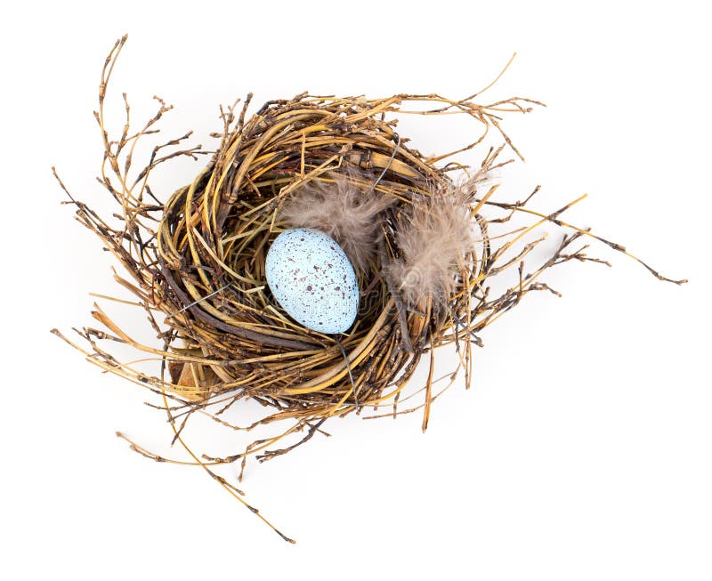 Easter egg in birds nest stock image. Image of easter 51445631