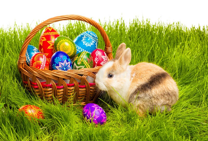 Easter egg and bunny in basket