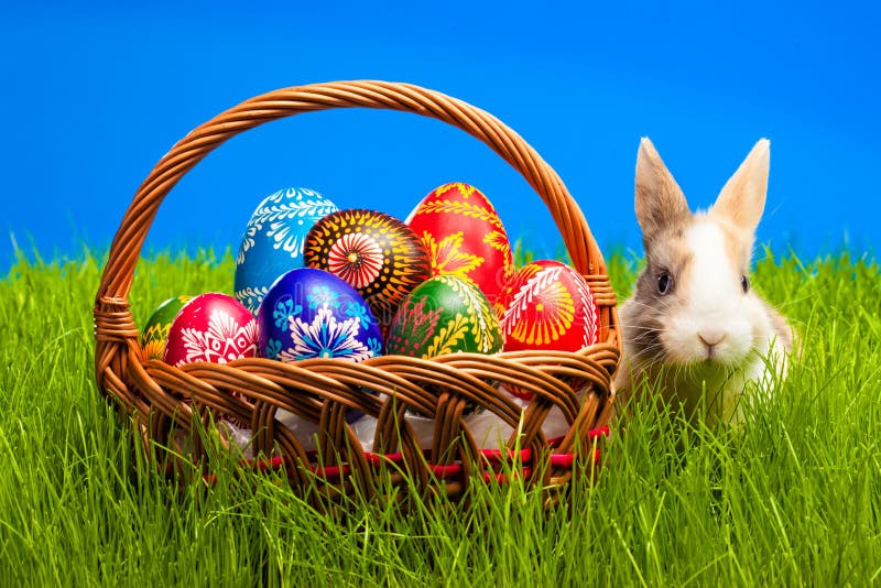 Easter egg and bunny in basket