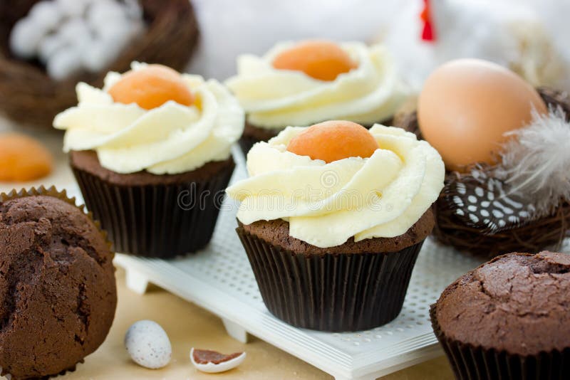Easter egg cupcakes stock images