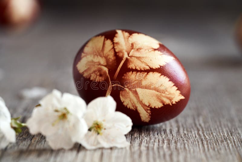 Easter Egg Dyed with Onion Skins, with a Leaf Pattern Stock Photo