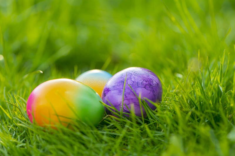 Easter Egg in Green Grass.Easter Food.Spring Religious Holiday.Easter