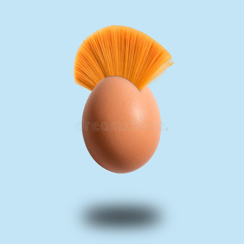 6,953 Egg Hair Photos - Free & Royalty-Free Stock Photos from Dreamstime