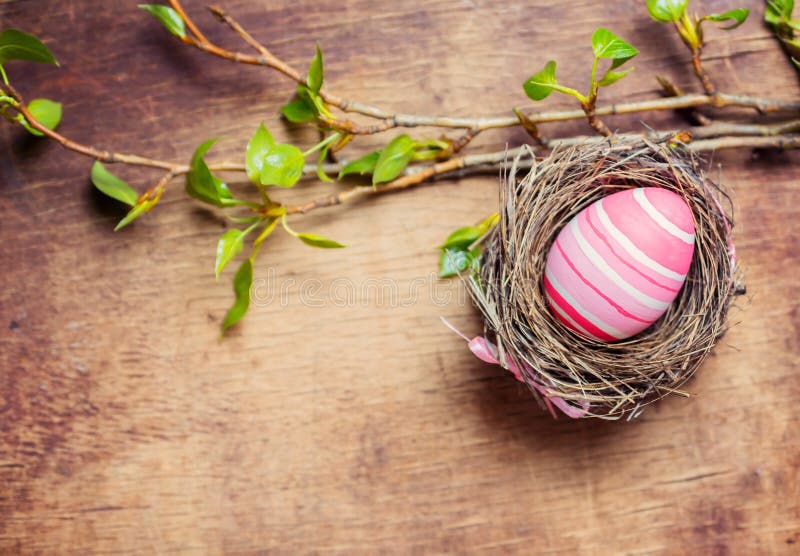 Easter egg in nest on wooden background