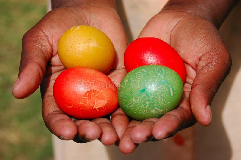 African female black hands holding four colorful cracked eggs as a present and to wish Happy Easter. African female black hands holding four colorful cracked eggs as a present and to wish Happy Easter