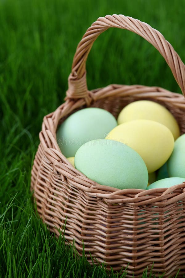 Easter Eggs Basket in Grass Meadow Stock Photo Image of concept