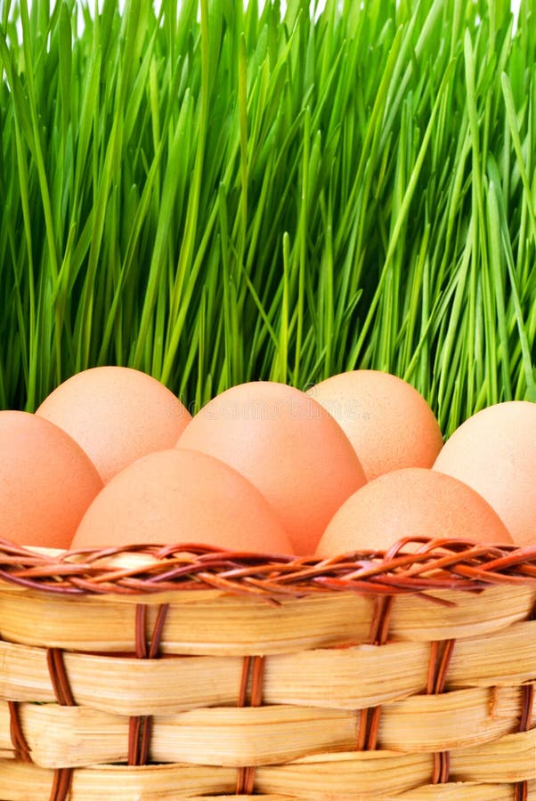 Basket with Easter Eggs, Roses, Flowers and Green Grass Stock Image