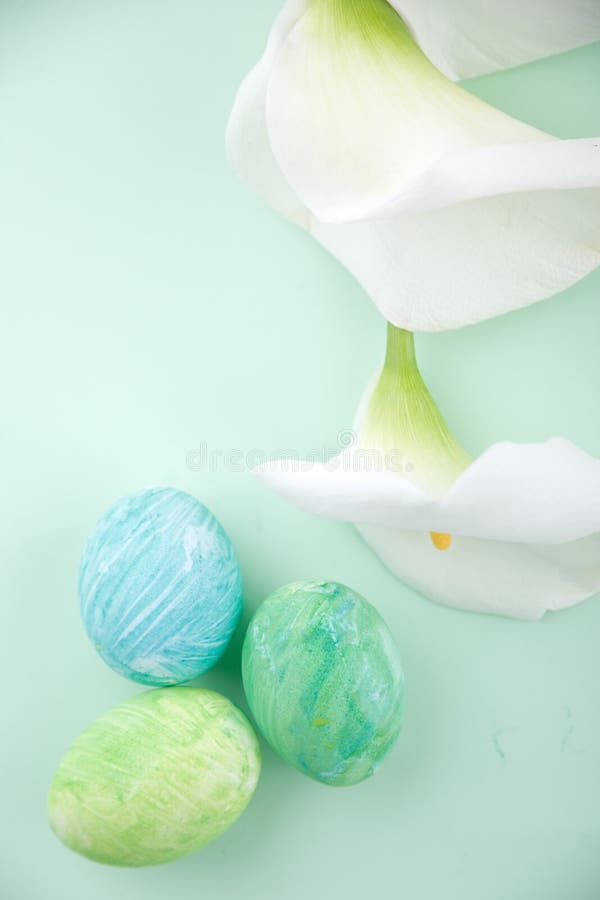 Easter Lily stock image. Image of flower, beautiful, easter 8087007