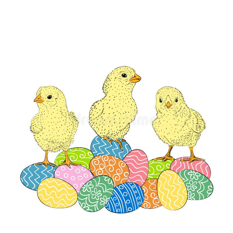 Chickens and eggs stock vector. Illustration of cartoon 51281679