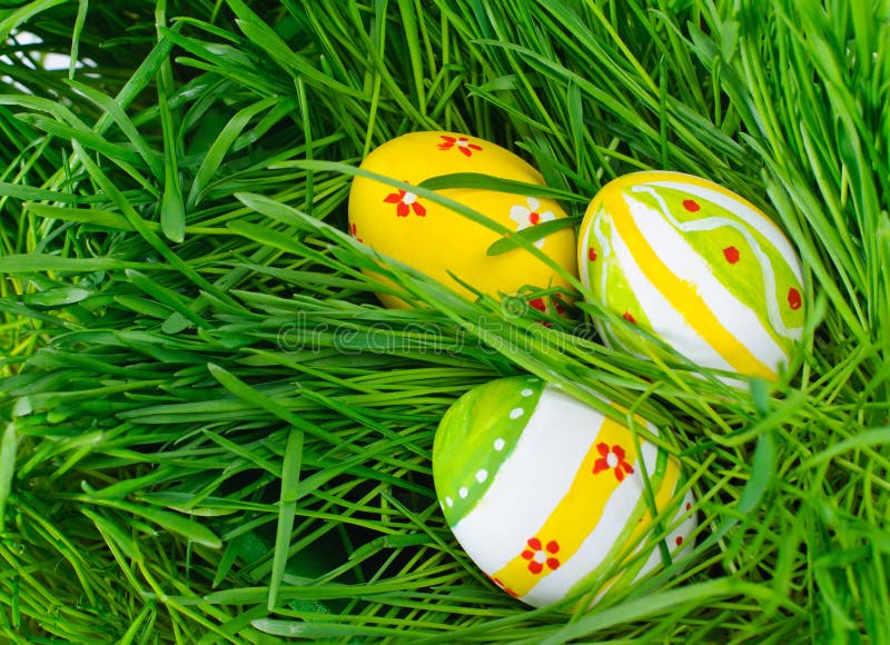 Easter eggs are colored in green grass