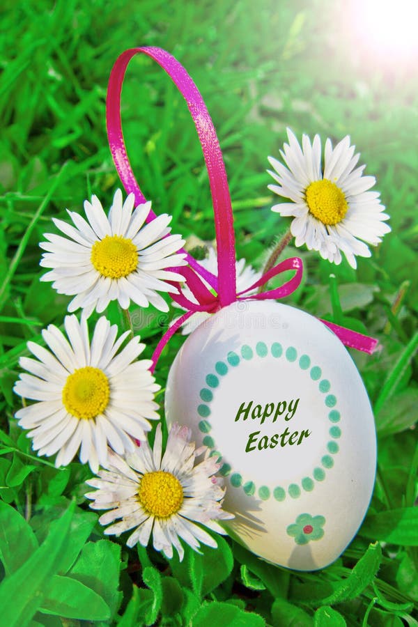 An Easter Eggs with Daisy on Grass Stock Photo Image of design