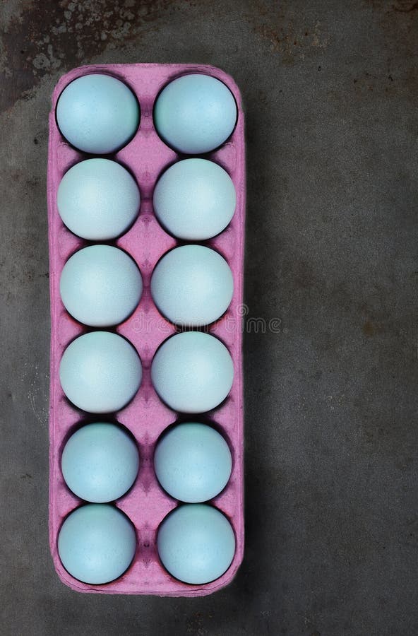 Dozen Dyed Easter Eggs in Egg Carton Container Stock Image Image of