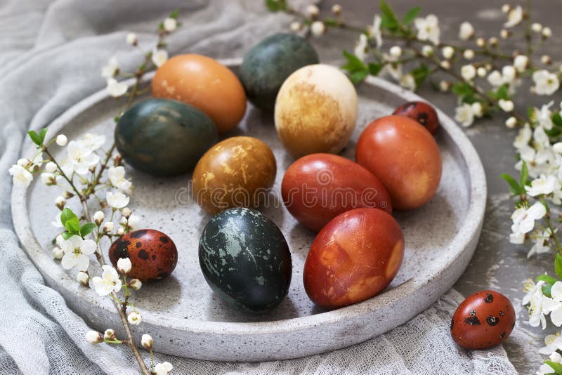 Easter eggs dyed with natural dyes, cabbage, chamomile, hibiscus and onion peel. royalty free stock photo Easter eggs dyed with natural dyes, cabbage, chamomile, hibiscus and onion peel. royalty free stock photo