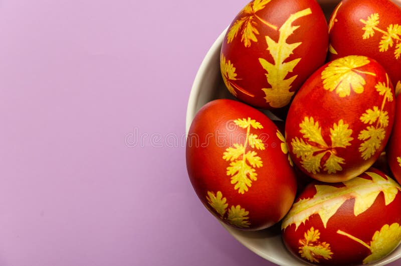 Easter eggs dyed with onion peels with a pattern of fresh leaves of plants in a white bowl on a light purple background royalty free stock photography Easter eggs dyed with onion peels with a pattern of fresh leaves of plants in a white bowl on a light purple background royalty free stock photography