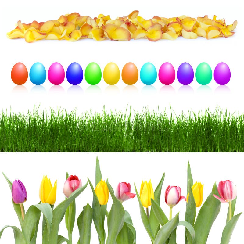 Easter eggs and flowers in a row