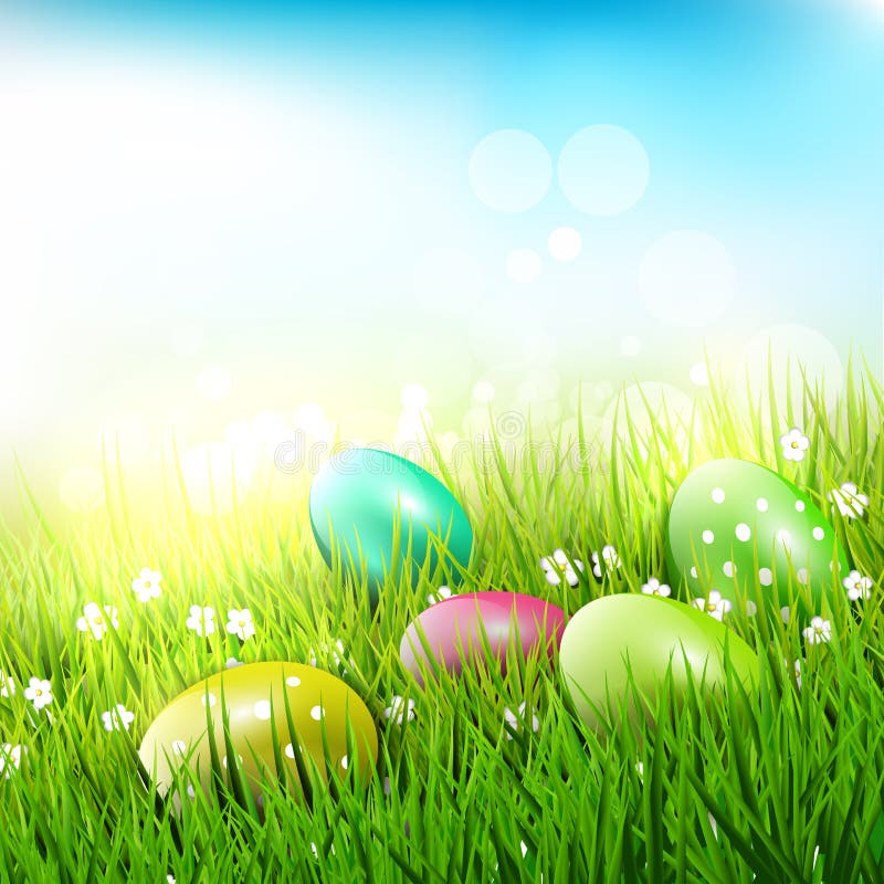 Easter eggs in grass