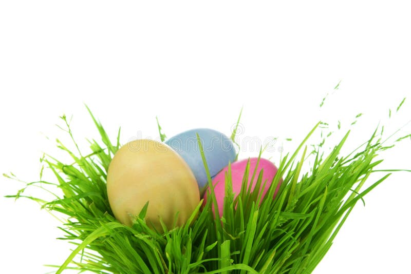 Easter eggs in grass