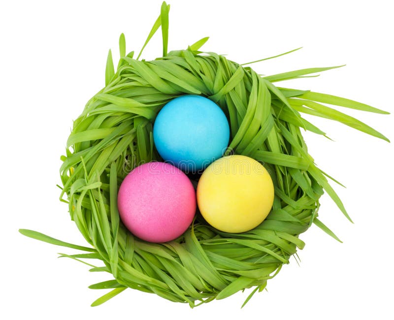Easter eggs in grass stock image. Image of easter, decoration 51435805