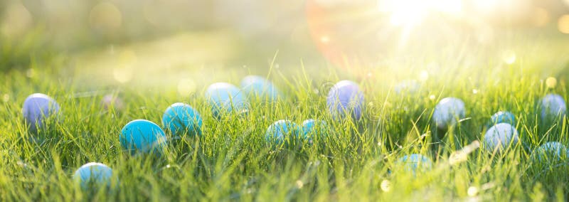 Easter eggs in the grass on a sunny background