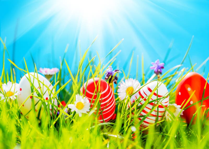 Easter eggs in green grass with flowers, blue sky and sun stock photo Easter eggs in green grass with flowers, blue sky and sun stock photo