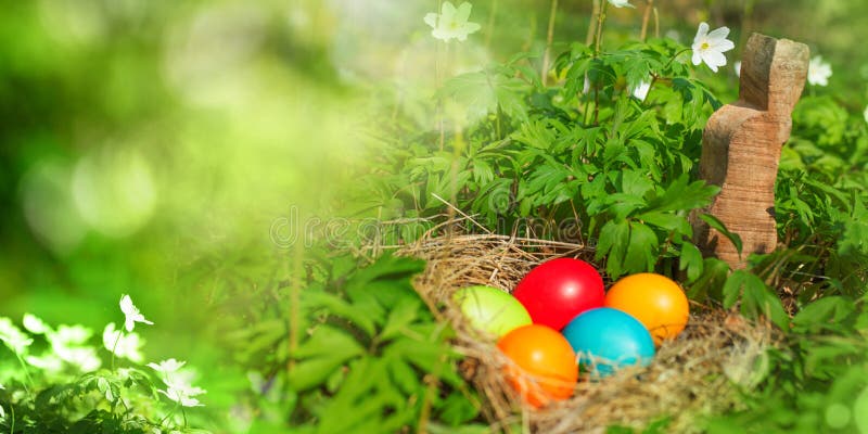 435,413 Easter Nature Photos Free Royalty-Free Stock from