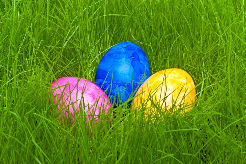 Easter eggs hidden in the grass