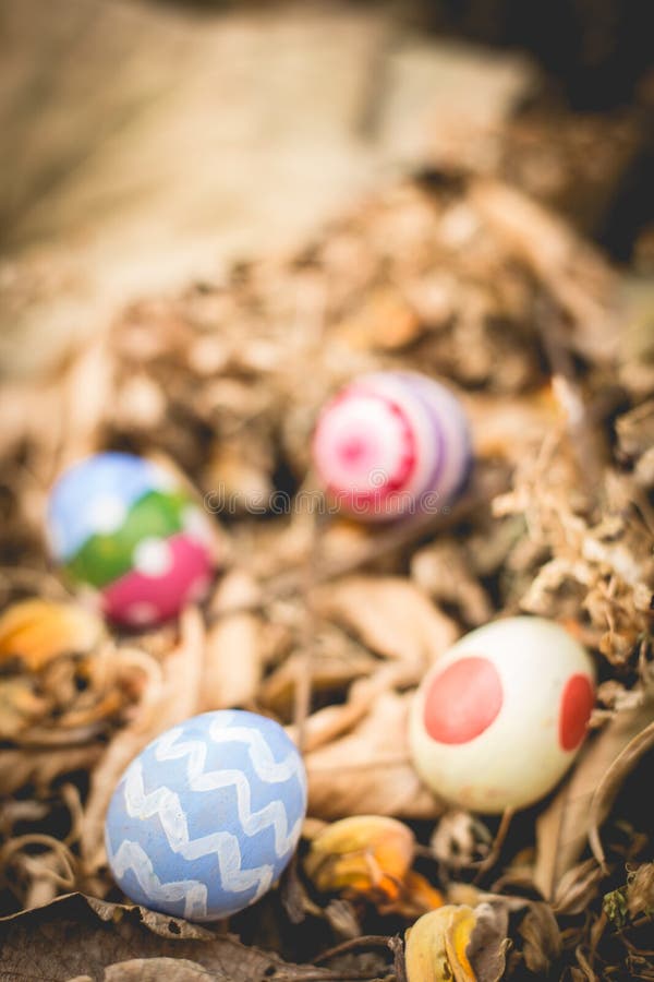 Easter Eggs Hidden in Leaves Stock Image Image of symbol, lost 51655979