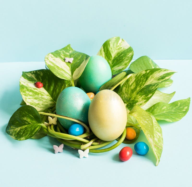 Easter Eggs in Nest from Green Leaves on a Blue Background Stock Image