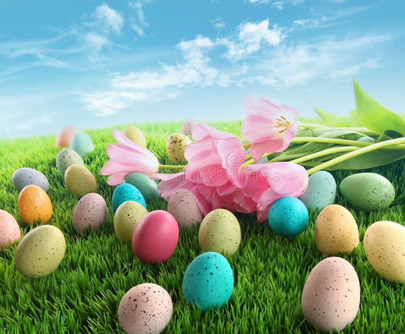 Easter eggs with pink tulips on grass royalty free stock photo Easter eggs with pink tulips on grass royalty free stock photo