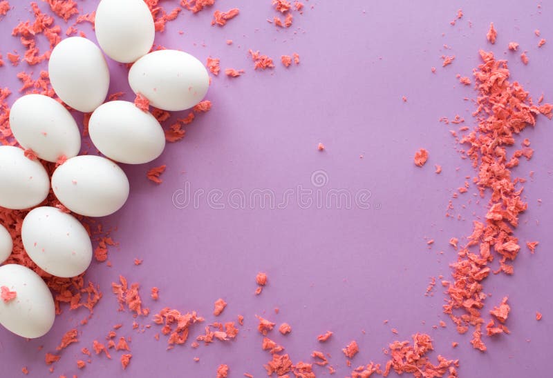 Easter Eggs on Purple Background. Stock Image Image of celebrate