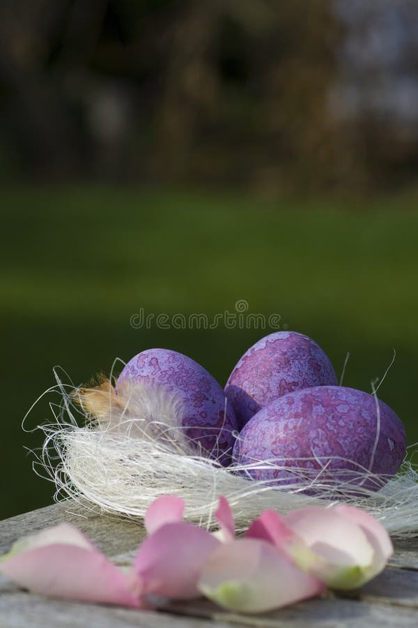 Easter eggs in purple and pink petals