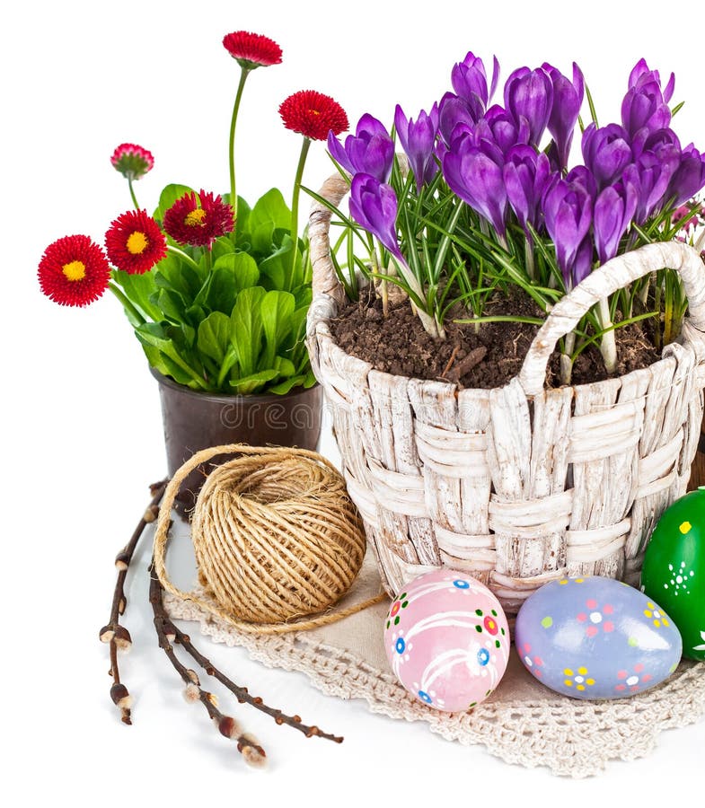 Easter Eggs in Basket with Yellow Tulip Flowers Stock Photo Image of