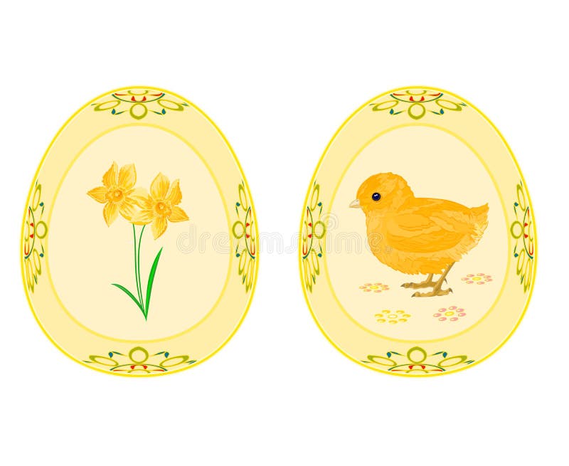 Easter eggs theme daffodil and baby chicken