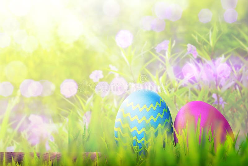 Easter eggs on wooden plank covering with green grass royalty free stock photography Easter eggs on wooden plank covering with green grass royalty free stock photography
