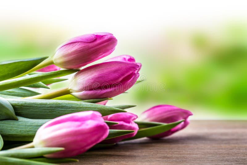 Easter feliz E r fotografia de stock royalty free Easter feliz E r fotografia de stock royalty free