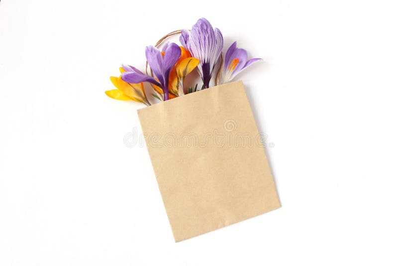 Easter floral composition. Yellow and violet crocuses flowers in craft paper shopping bag on white wooden background