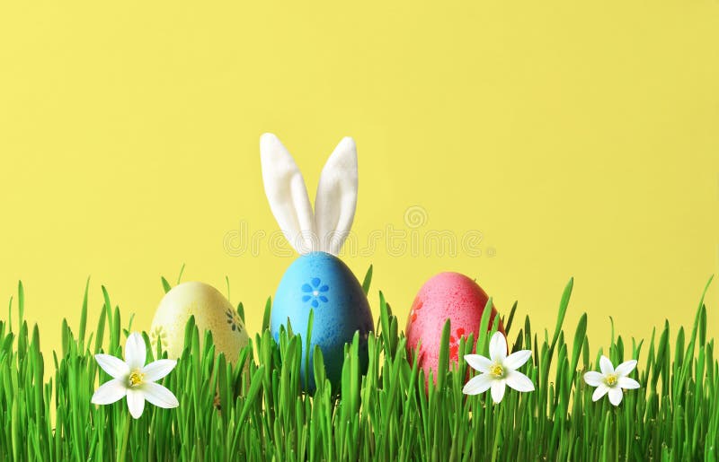 Easter funny bunny on green grass with easter eggs. Easter background.