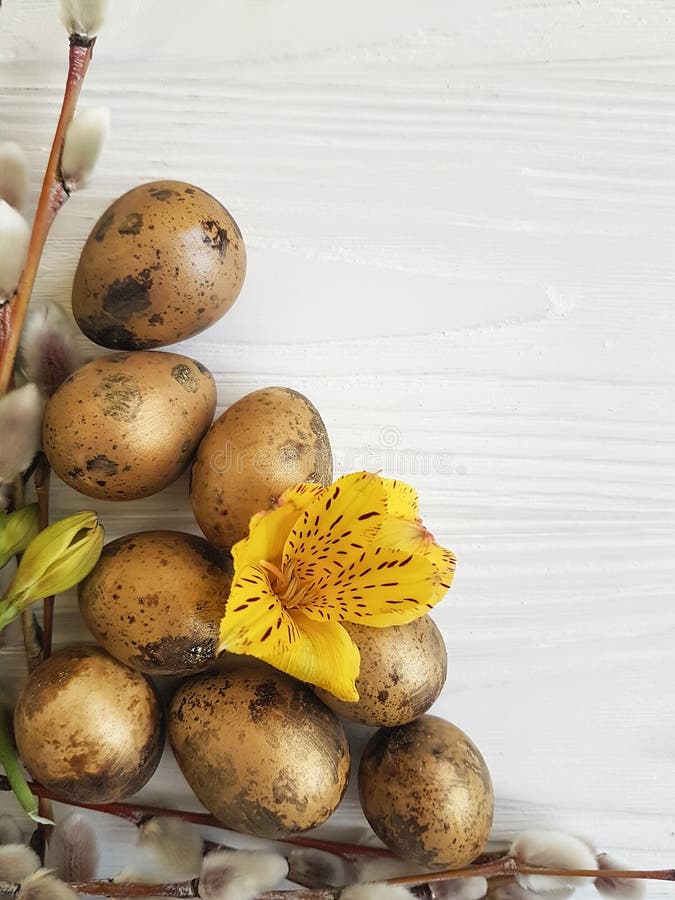 Easter för vaktelägg ägg på ett trä arkivfoto Easter för vaktelägg ägg på ett trä arkivfoto