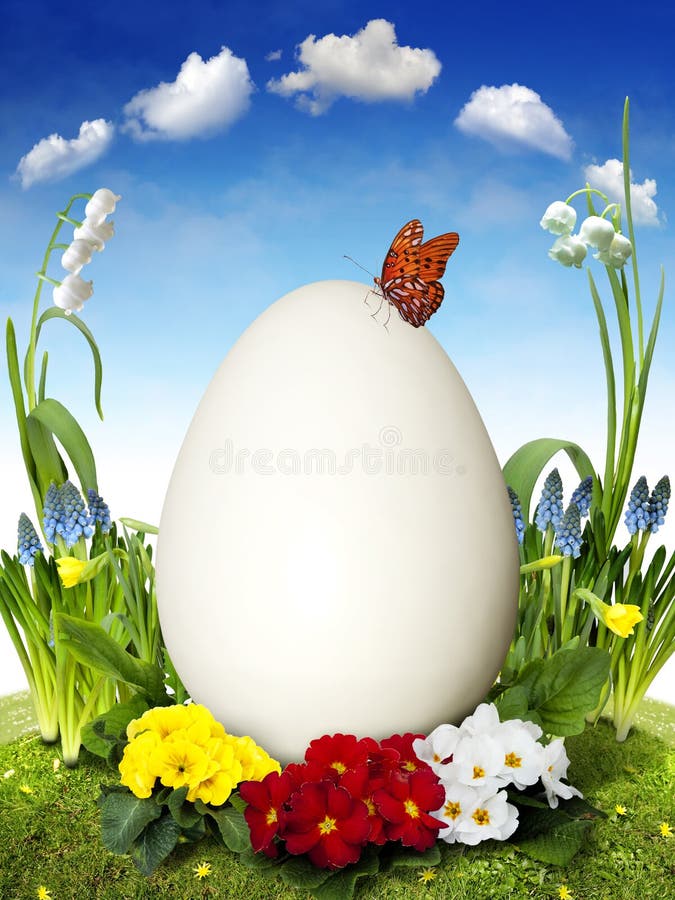 Easter Egg with spring Flower and Butterfly. Easter Egg with spring Flower and Butterfly